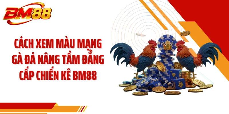 Cách Xem Màu Mạng Gà Đá Nâng Tầm Đẳng Cấp Chiến Kê BM88